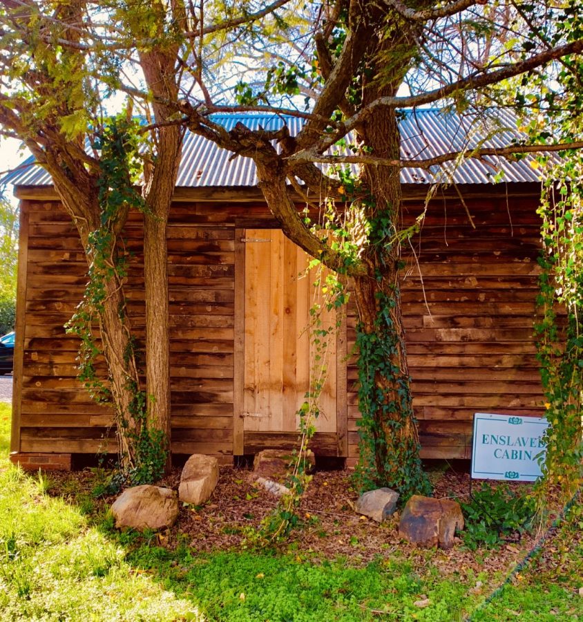 Vinnies Cabin: shades of the past