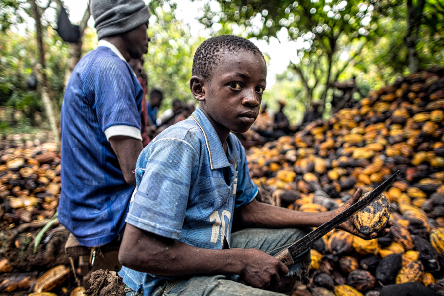 Does Your Chocolate Come from Child Labor?