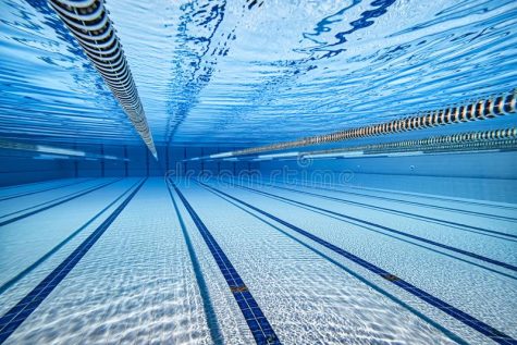 Transgender Swimmers Banned from Competition