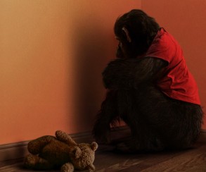 Primate: A Fear Filled Frenzy