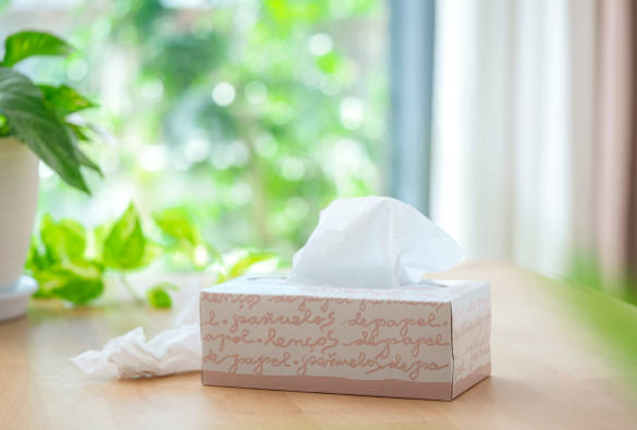 Tissue Box