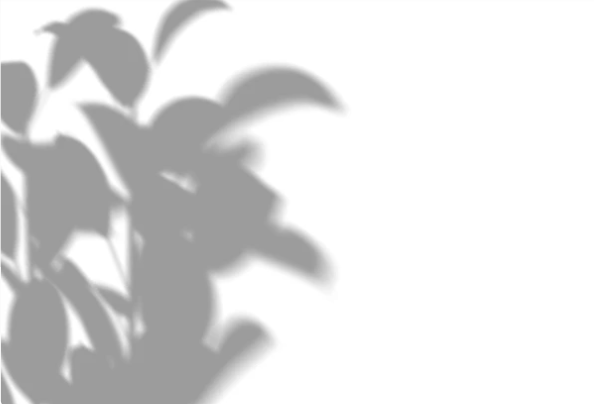 Dark Leaf