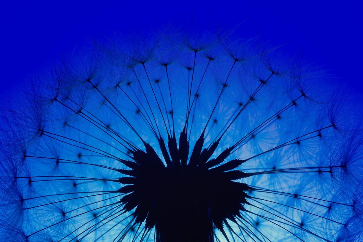 The Color Blue