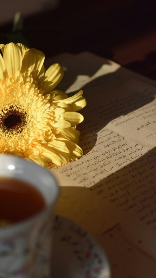Letter to Spring