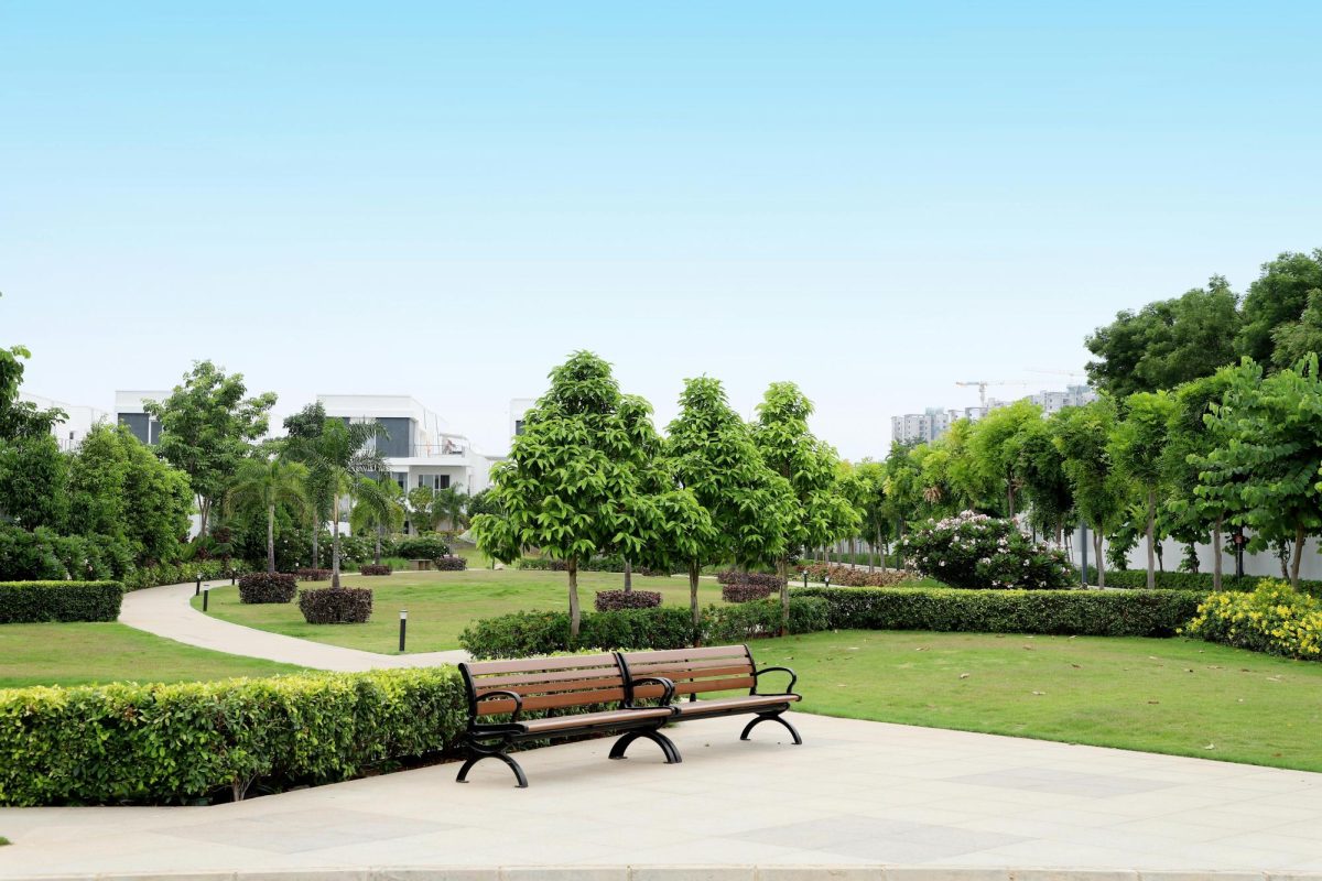 Chapter Two: Park